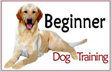 South Mountain - Beginner Dog Training