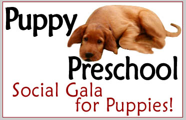 Puppy Preschool Classes - South Mountain Training Center