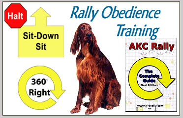 Rally Obedience Dog Training Classes - South Mountain Training Center